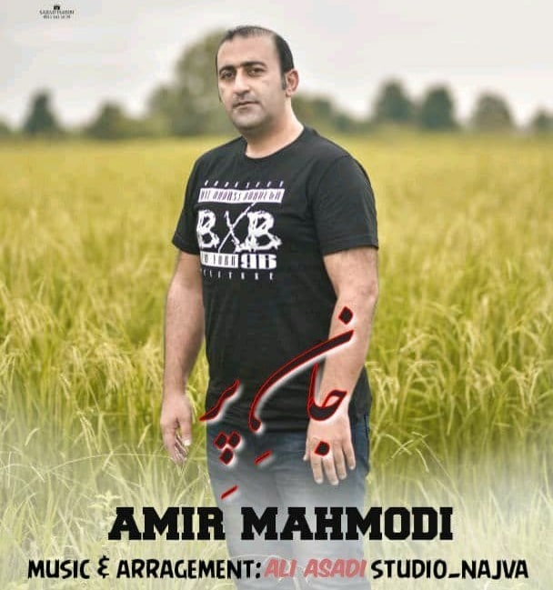 امیر محمودی جان پر